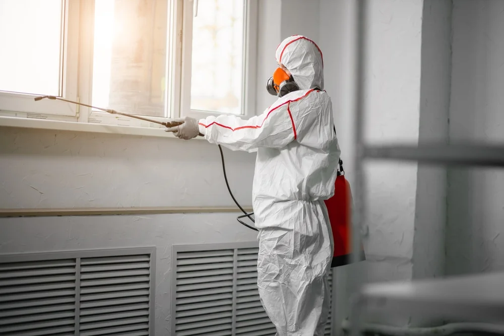 Professional mold remediation services in Jarrell, TX